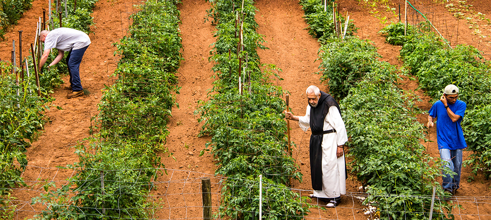 Monk Farm Ora et Labora – Improbable Benedictine